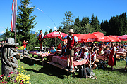 R&uuml;bezahl Alm 2016 feierte das : 6. Goaslschnoitza Fest in Ellmau am Wilden Kaiser (&copy;Foto. Martin Schmitz)